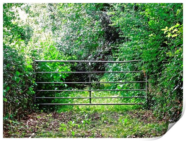 Farm Gate Print by Stephanie Moore