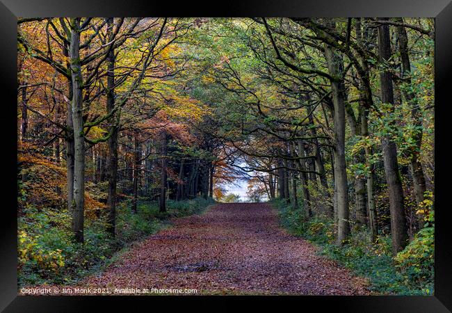 Woodland Path in Leicestershire Framed Print by Jim Monk