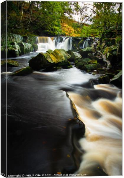 Nelly Ayre foss Waterfall in the north Yorkshire moors 333 Canvas Print by PHILIP CHALK