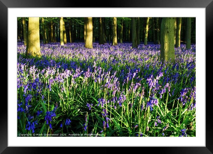 A Sea of Blue Framed Mounted Print by Mark Greenwood