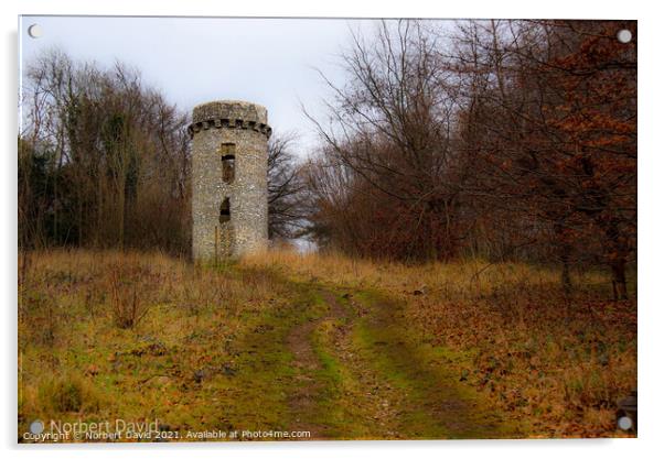 The tower Acrylic by Norbert David