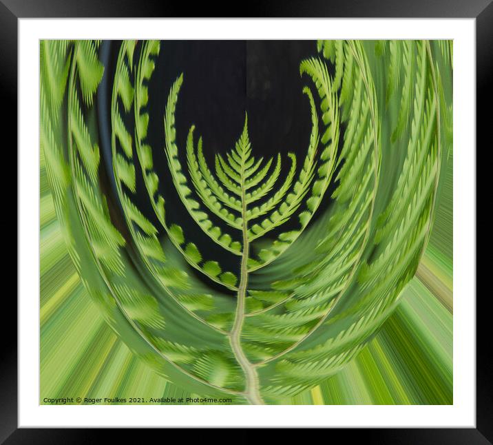 Plant leaves Fern Mouse Eye View Framed Mounted Print by Roger Foulkes