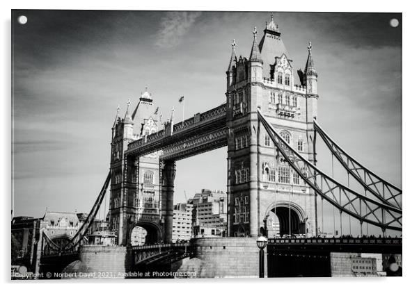 Tower Bridge Acrylic by Norbert David