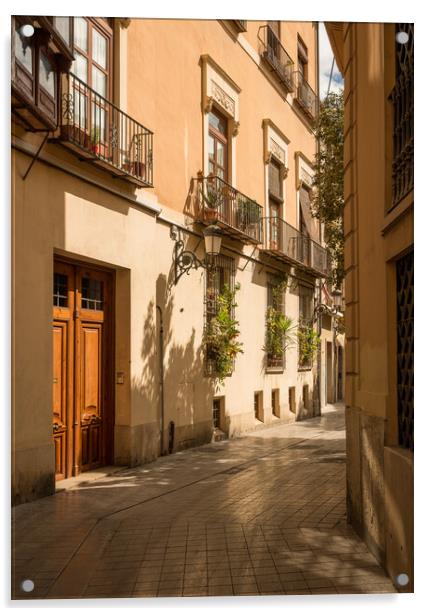 Narrow peaceful street in old town of Valencia Spain Acrylic by Steve Heap