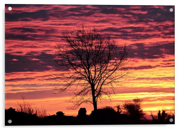 Tree silhouette Sunrise Acrylic by Simon Johnson