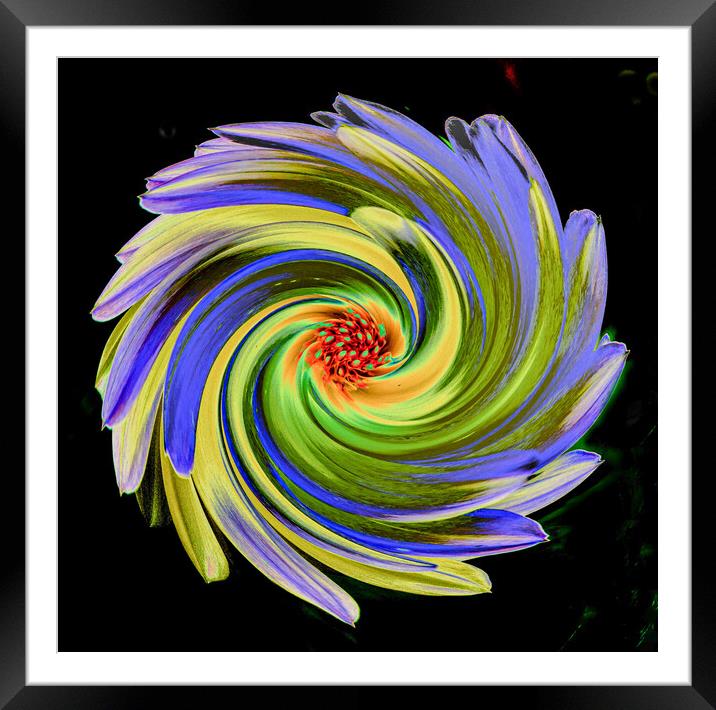 Abstract Flower Framed Mounted Print by Roger Foulkes