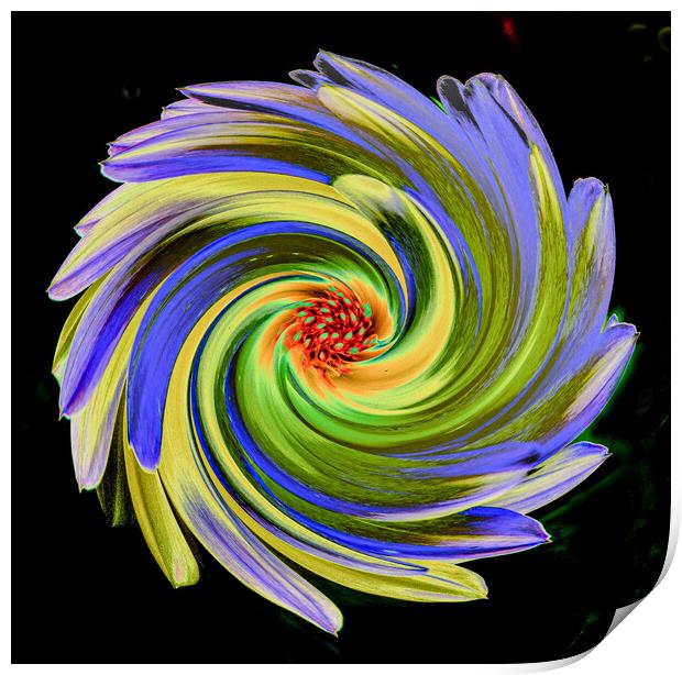 Abstract Flower Print by Roger Foulkes
