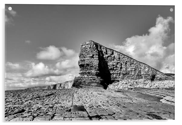 Nash Point Headland in Black and White Acrylic by Gordon Maclaren