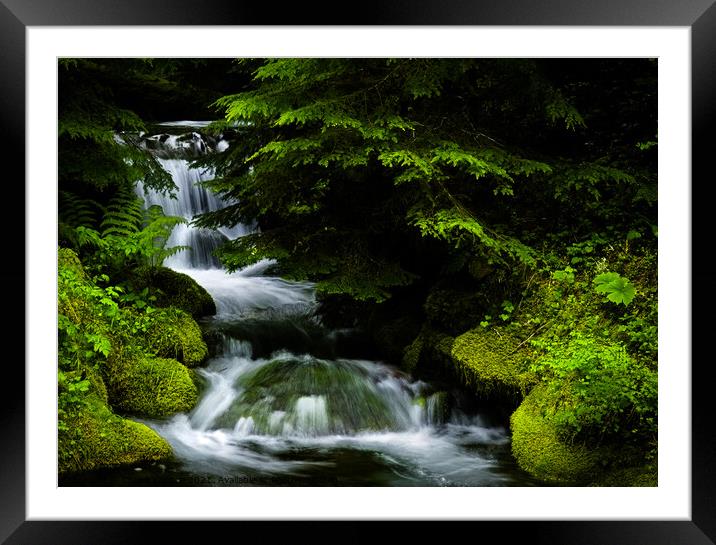 Small waterfall in the forest Framed Mounted Print by Chuck Koonce