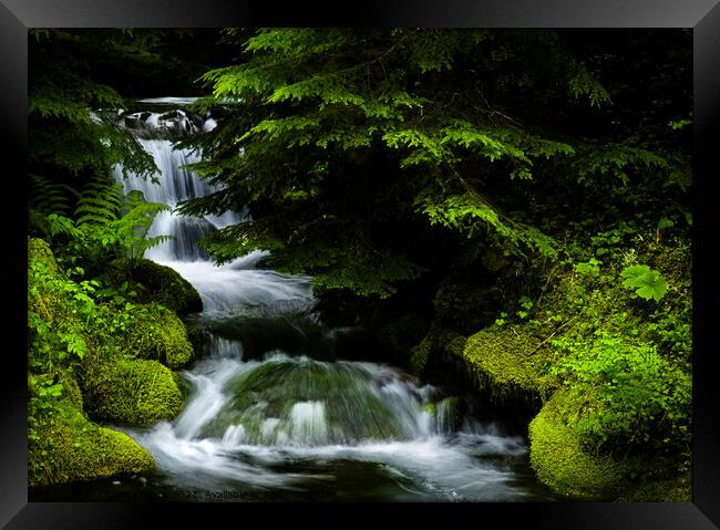 Small waterfall in the forest Framed Print by Chuck Koonce