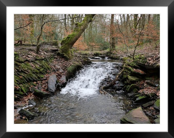 stream waterfall in Holmfirth Framed Mounted Print by Roy Hinchliffe
