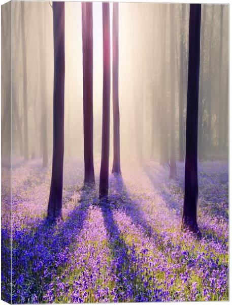 Silhouettes in a Bluebell Wood Canvas Print by David Neighbour