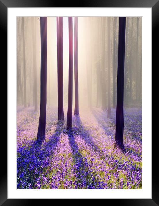 Silhouettes in a Bluebell Wood Framed Mounted Print by David Neighbour