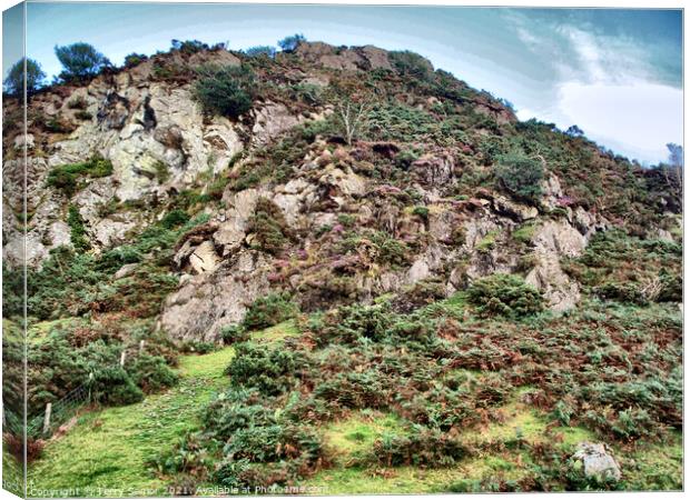 Hillside in Rannerdale Cumbria in the Lake District HDR Canvas Print by Terry Senior