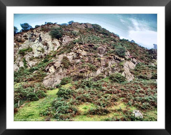 Hillside in Rannerdale Cumbria in the Lake District HDR Framed Mounted Print by Terry Senior
