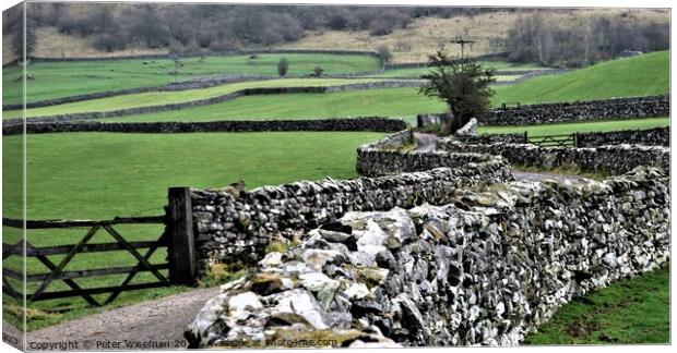 Dry stone walls Yorkshire Dales Canvas Print by Peter Wiseman