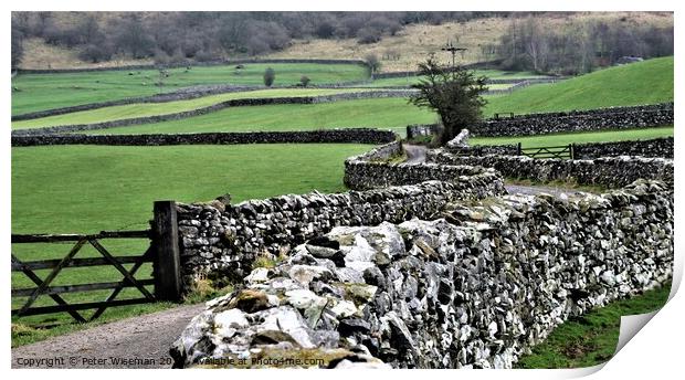 Dry stone walls Yorkshire Dales Print by Peter Wiseman