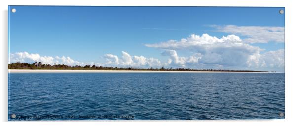 White pristine sandy beach, Fraser Island Acrylic by Geoff Childs