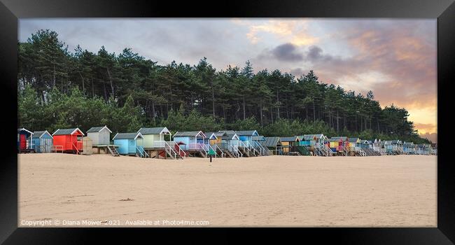 Wells next the sea beach Huts at Sunset Framed Print by Diana Mower