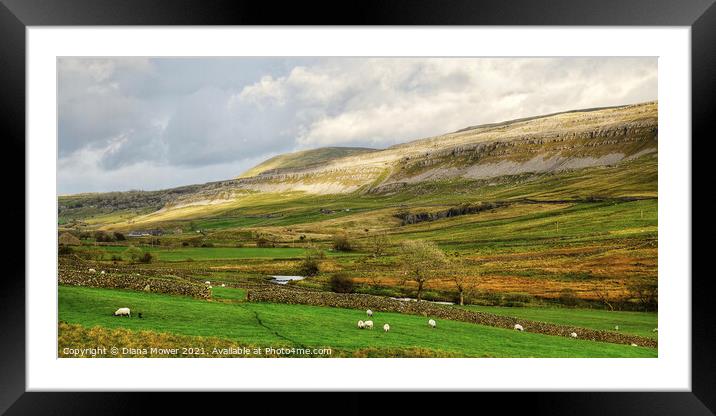 White Scar and Ingleborough Yorkshire Framed Mounted Print by Diana Mower