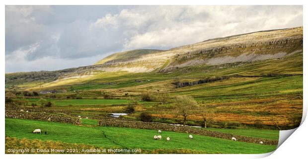 White Scar and Ingleborough Yorkshire Print by Diana Mower