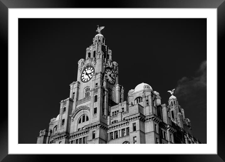 Royal Liver Building in monochrome Framed Mounted Print by Jason Wells