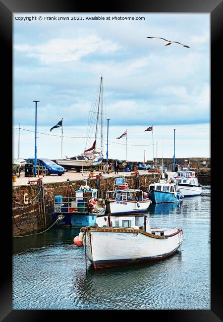 Half tide in Paignton Harbour  Framed Print by Frank Irwin