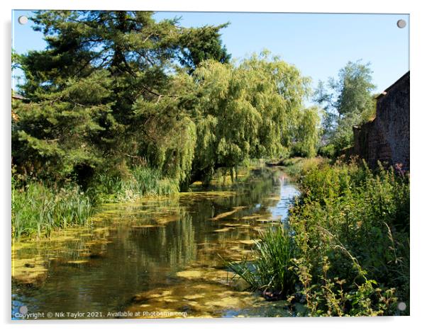 The Grand Western Canal Acrylic by Nik Taylor