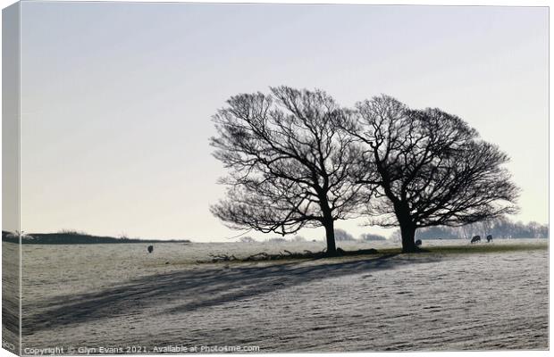 Winters Morning. Canvas Print by Glyn Evans