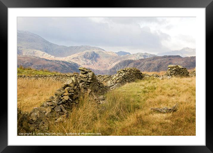 Lake District Autumn View Framed Mounted Print by Lesley Pegrum