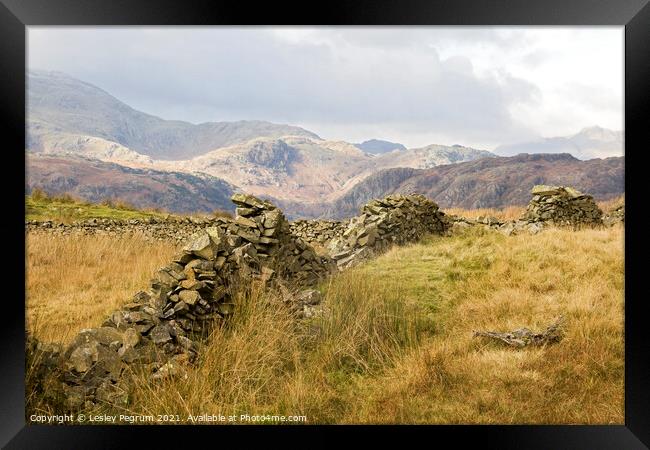 Lake District Autumn View Framed Print by Lesley Pegrum