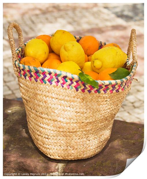 A basket of oranges and lemons Print by Lesley Pegrum