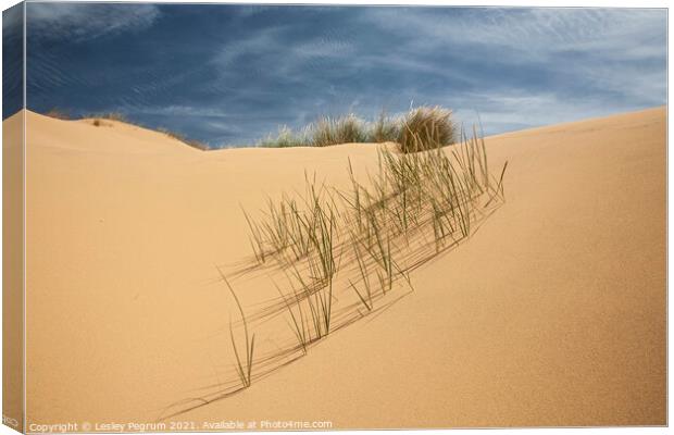 Sand Dune Grass Canvas Print by Lesley Pegrum