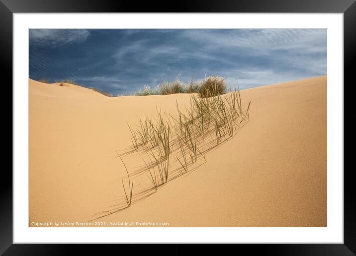 Sand Dune Grass Framed Mounted Print by Lesley Pegrum