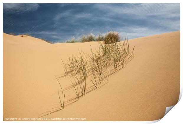 Sand Dune Grass Print by Lesley Pegrum
