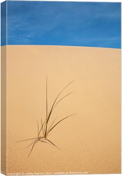 Sand Sky & grass Canvas Print by Lesley Pegrum