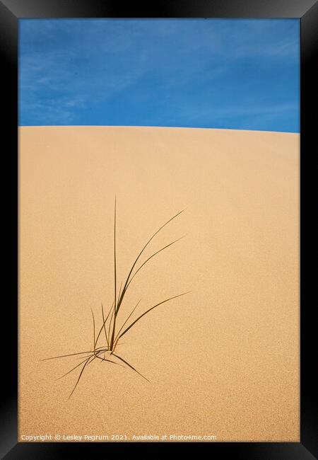 Sand Sky & grass Framed Print by Lesley Pegrum