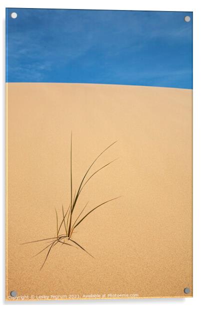 Sand Sky & grass Acrylic by Lesley Pegrum