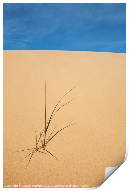 Sand Sky & grass Print by Lesley Pegrum