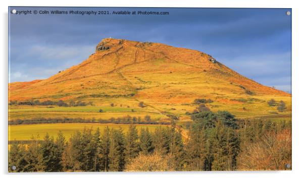 Roseberry Topping North Yorkshire 4 Acrylic by Colin Williams Photography