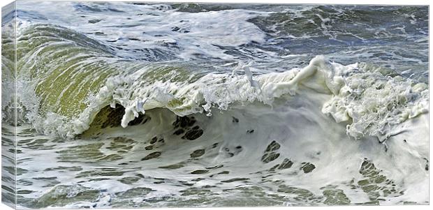 Milky Wave Canvas Print by Donna Collett