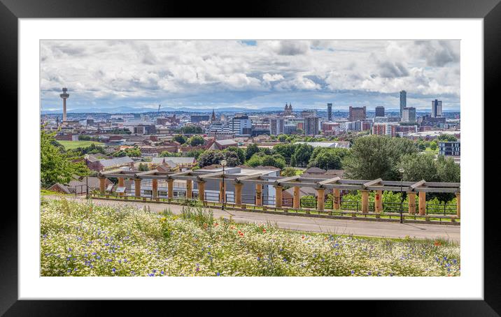 Liverpool panorama from Everton Park Framed Mounted Print by Jason Wells