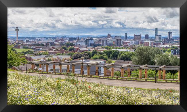 Liverpool panorama from Everton Park Framed Print by Jason Wells
