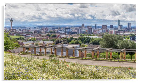 Liverpool panorama from Everton Park Acrylic by Jason Wells