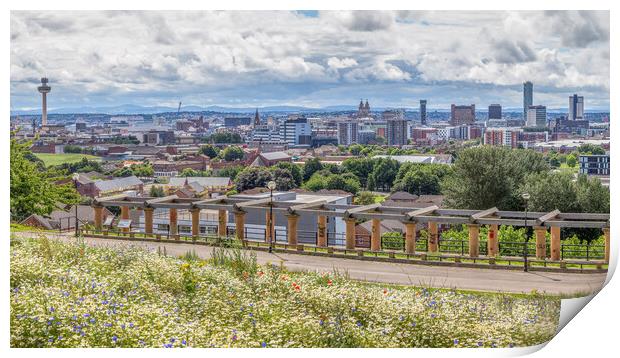 Liverpool panorama from Everton Park Print by Jason Wells