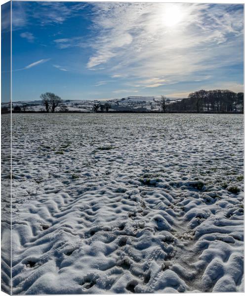 Snow Field, Boncath, Pembrokeshire, Wales, UK Canvas Print by Mark Llewellyn