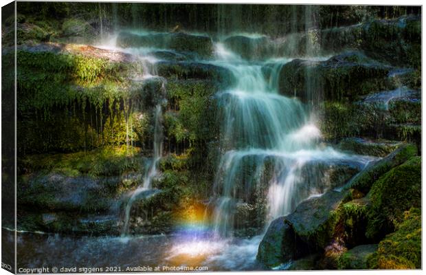 Scaleber foss Waterfall Canvas Print by david siggens