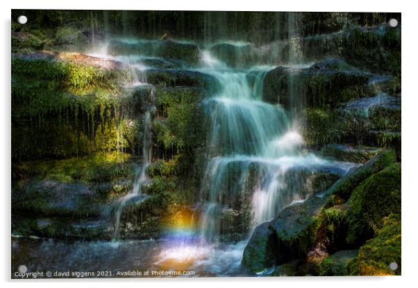 Scaleber foss Waterfall Acrylic by david siggens
