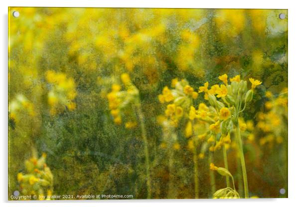 Yellow cowslip Acrylic by Joy Walker