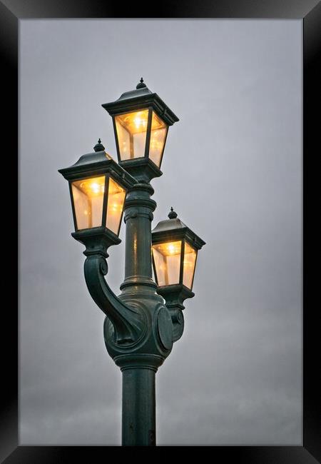 Tyne Bridge Lanterns Framed Print by Rob Cole
